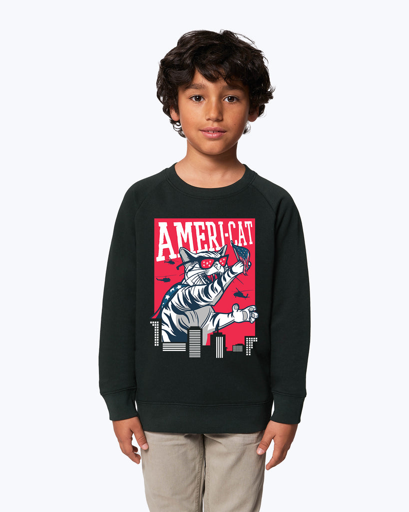 Kids Sweater Ameri-Cat